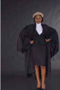 How Much Does A Lawyer Wig Cost In Nigeria? & Where to Buy! –  